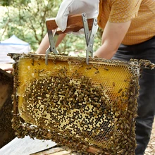 

Bee hive Frame Holder Stainless Steel Capture Frame Grip Beekeeping Accessories Increase Honey Bee Tools