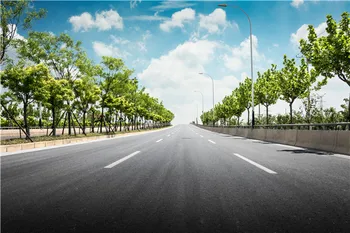 

SHENGYONGBAO Vinyl Custom Photography Backdrops Props Road theme Photo Studio Background 20213-36