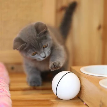

Interactive Cat Toy Ball Automatic Cat Chaser Toy Ball USB Rechargeable Self Rotating Cat Tall Toy with LED Lighting