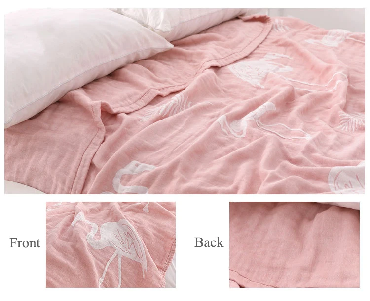 10400100679_395341736