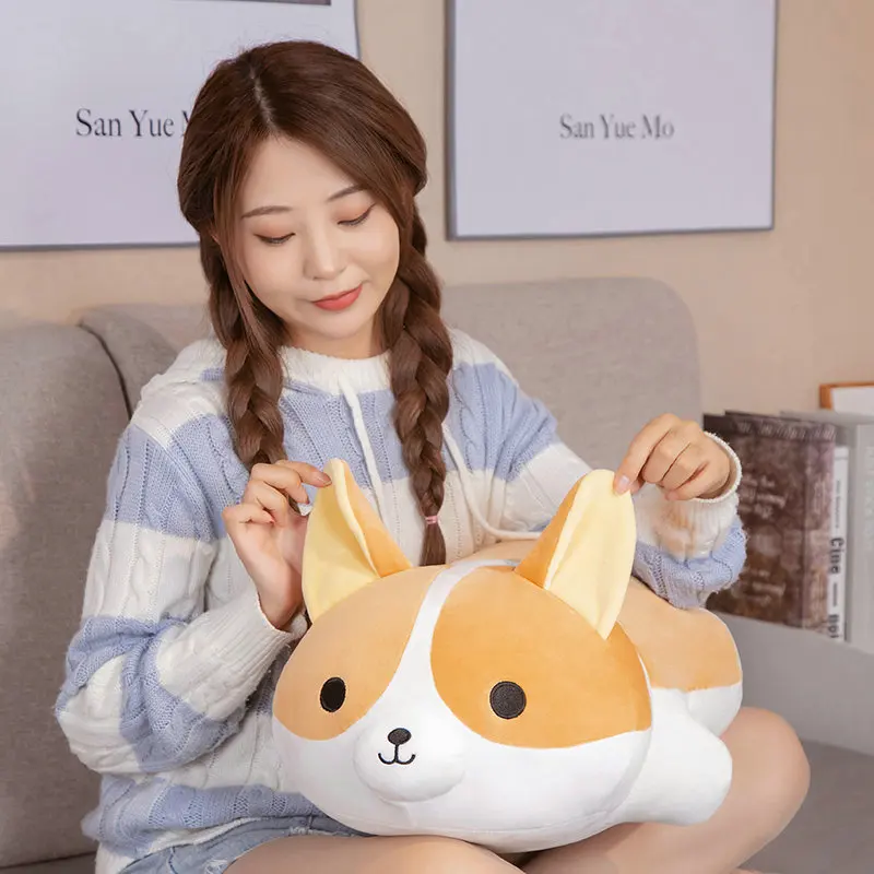 Hfc40611b14fc4b4ca3930e6f6cd95856g - Corgi Gifts