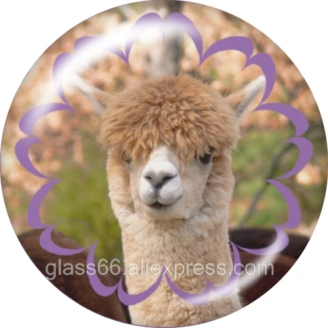 LLAMA Рождественский круглый стеклянный кабошон демонстрационная плоская задняя часть делая Результаты 12 мм/18 мм/20 мм/25 мм/40 мм TL6006 - Цвет: B6098