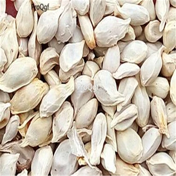 

Ngryise 500Pcs A Set dry Citrus limon