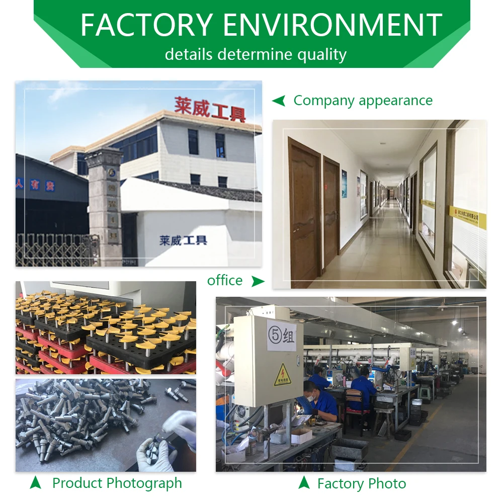 LA VIE 1 PC 6mm 6.35mm shank Solid Carbide Bearing Guided Two Flute Flush Trim Router Bits Woodworking milling cutters end mill