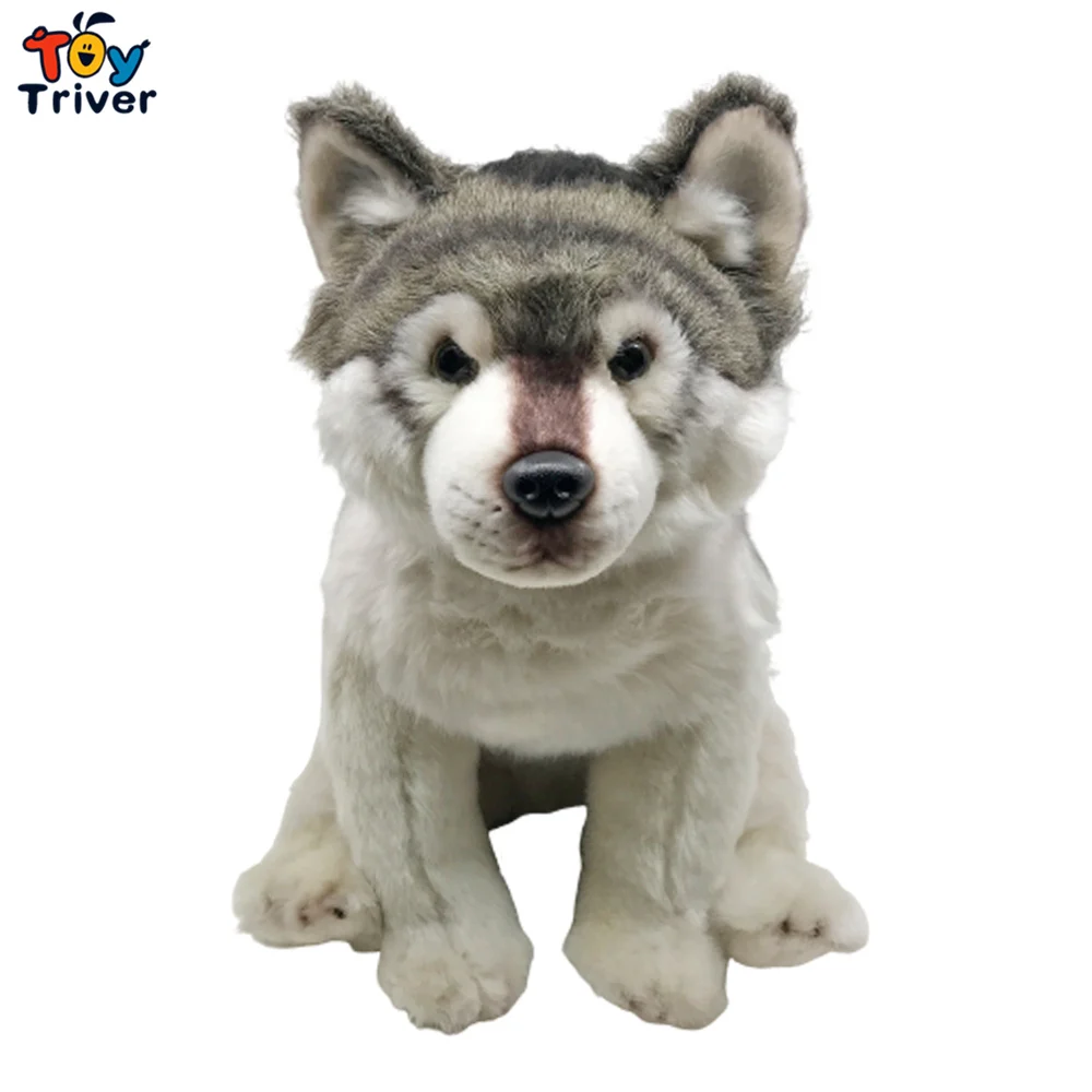 リアルなオオカミ犬ハスキー子犬ぬいぐるみtriverぬいぐるみ人形ベビーキッズウルフ恋人の誕生日プレゼントの装飾 ぬいぐるみ フラシ天 動物 Aliexpress リアルなオオカミ犬ハスキー子犬ぬいぐるみtriverぬいぐるみ人形ベビーキッズウルフ恋人の誕生日プレゼントの装飾 ぬいぐるみ フラシ天 動物 Aliexpress