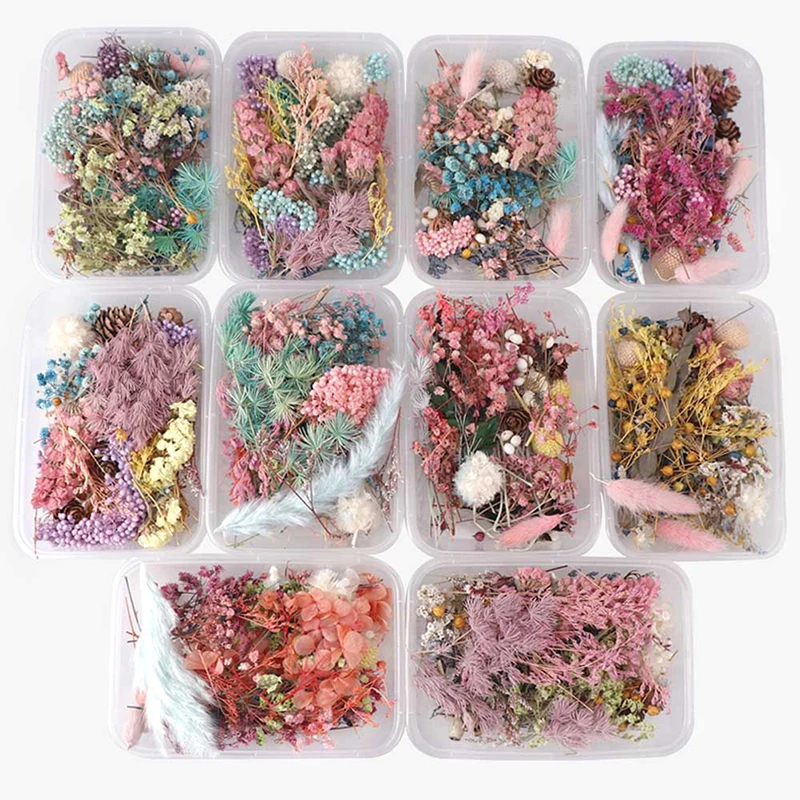 

1 Box Real Dried Flower Dry Plants For Aromatherapy Candle Epoxy Resin Pendant Necklace Jewelry Making Craft DIY Accessories