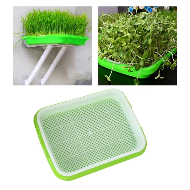 Vetőmag Spruter Tálca Dupla Rétegű Szélyítés Babban Tenyésztés Hidroponikus Óvodai Lemez Csírázó Edény Ültetvény Kert Otthoni Műanyag Szerszám - Image 4