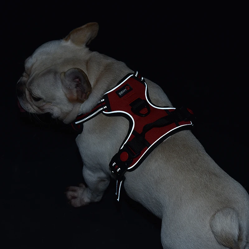 H133bc65ff2f747f69d451d6ae2e2b804I