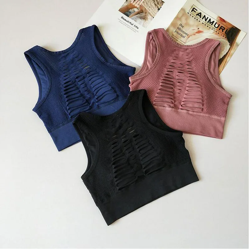 9195832616_559619995