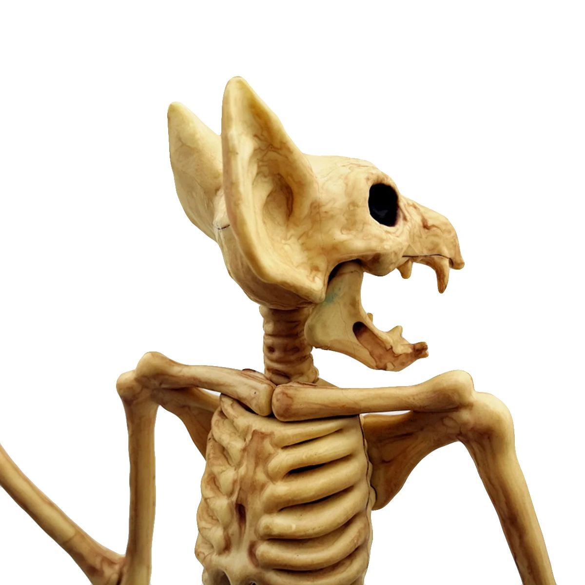 Танцующий скелет. Скелет машет. Забавная кость. Забавная кость. Скелет человека.