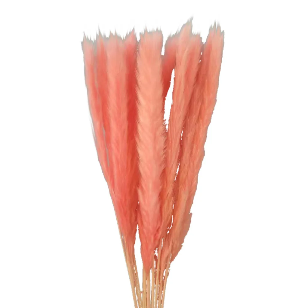 Pink 15 шт., Натуральные Сушеные маленькие пампасы, Phragmites, Искусственные Свадебные цветы, букет для домашнего декора, искусственные цветы# LR1 - Цвет: Pink