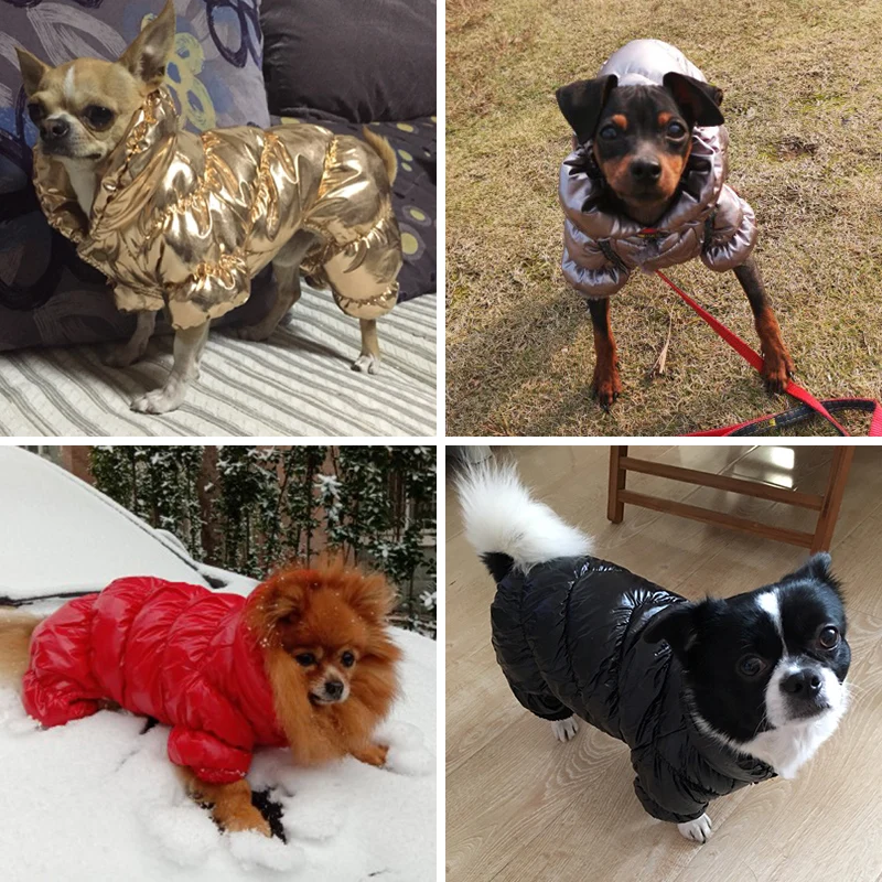 5 цветов кошка собака пуховая куртка теплая зимняя одежда малых и средних собак для маленьких собак, одежда для собак-тцу бульдог Комбинезон Щенок пальто, Одежда для питомцев, комбинезон