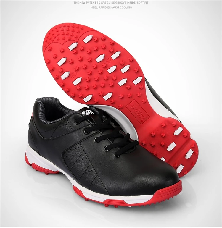 3833782588_1116867744