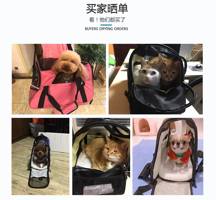 Сумка для переноски для домашних животных, рюкзак для собак, походная Сумка Для Пуделя, дорожная посылка для собак, дышащая упаковка для кошек, сумка для пикника