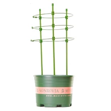 Садовый кронштейн, стойка для ботани, подъемная железная художественная стойка для комнаты, домашняя стойка для цветов клематиса, лотоса, винограда