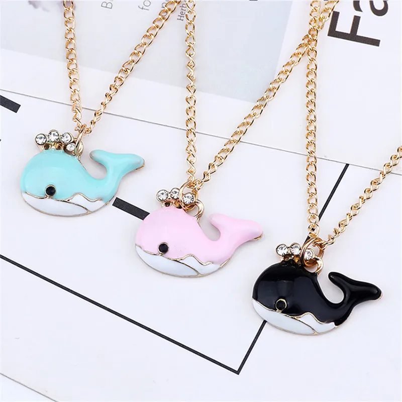 8086528636_679221165