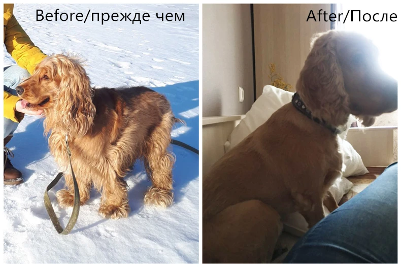 Профессиональная машинка для стрижки собак, машинка для стрижки животных, машинка для стрижки кошек, электробритва, машинка для стрижки, 110-240 В переменного тока