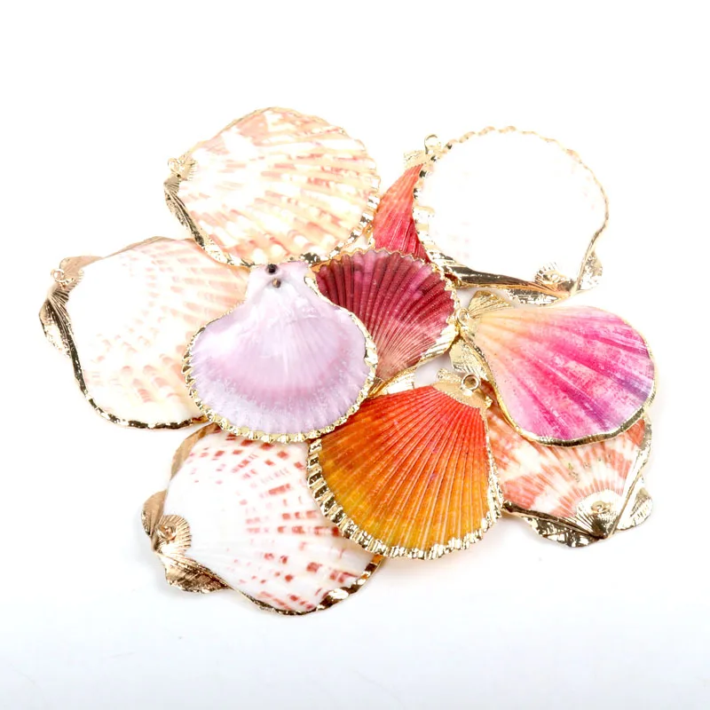 Gold Plated Natural Sector White Colorful Sea Shells for DIY handmade charms Jewelry Craft Decoration 5pcs