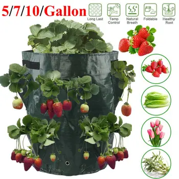 

Strawberry Planter Potato Grow Vegetable Seedling Planting Bag 5/7/10Gallon Fabric Vegetable Jardin Seedling Growing Pots