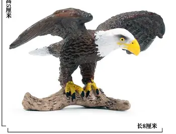 

CRAFTS DECOR EXQUISITE AGLES SEA OWLS BIRD WILD ANIMAL OWL CHILD TOY SIMULATION MODEL ANIMALS AND BIRDS WILDLIFE PARK BIRDS