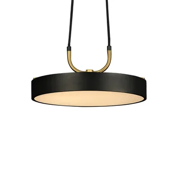 

Aisilan LED Pendant Light Lamp Nordic Style 30CM Lron Hanging Circular Modern for Study Dining Room Cafe Bar Personality
