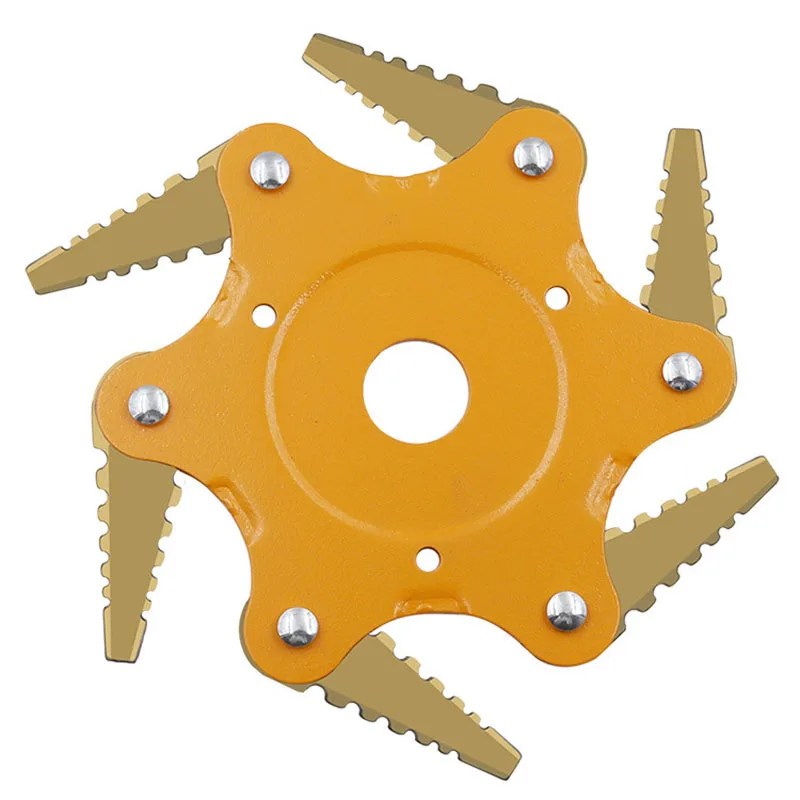 12123901257_1185384007