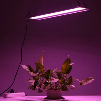 

LED Plant Growth Lamp Red Blue White Full Spectrum Plant Panel Fill Indoor Outdoor Hydroponice Plant Seedling Grow Light