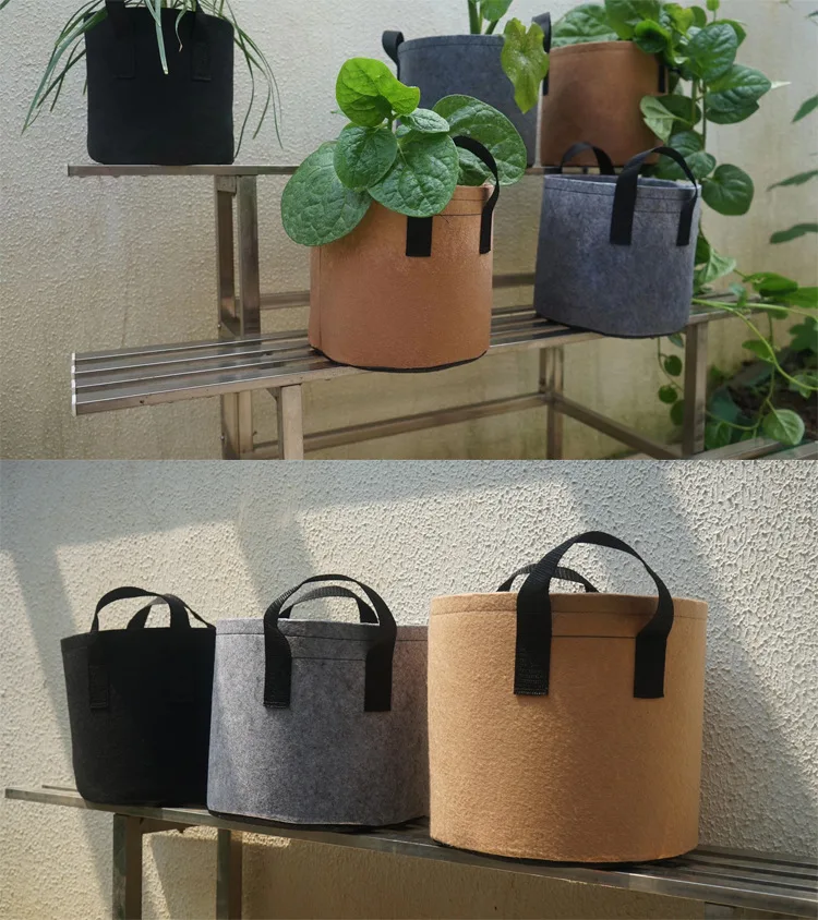 12052413271_1432856766