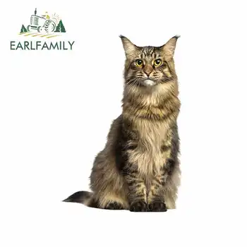 

EARLFAMILY 13cm x 9.1cm for Norwegian Forest Cat Motorcycle Car Stickers 3D Funny Graffiti Sticker Fashion Motorcycle Bumper