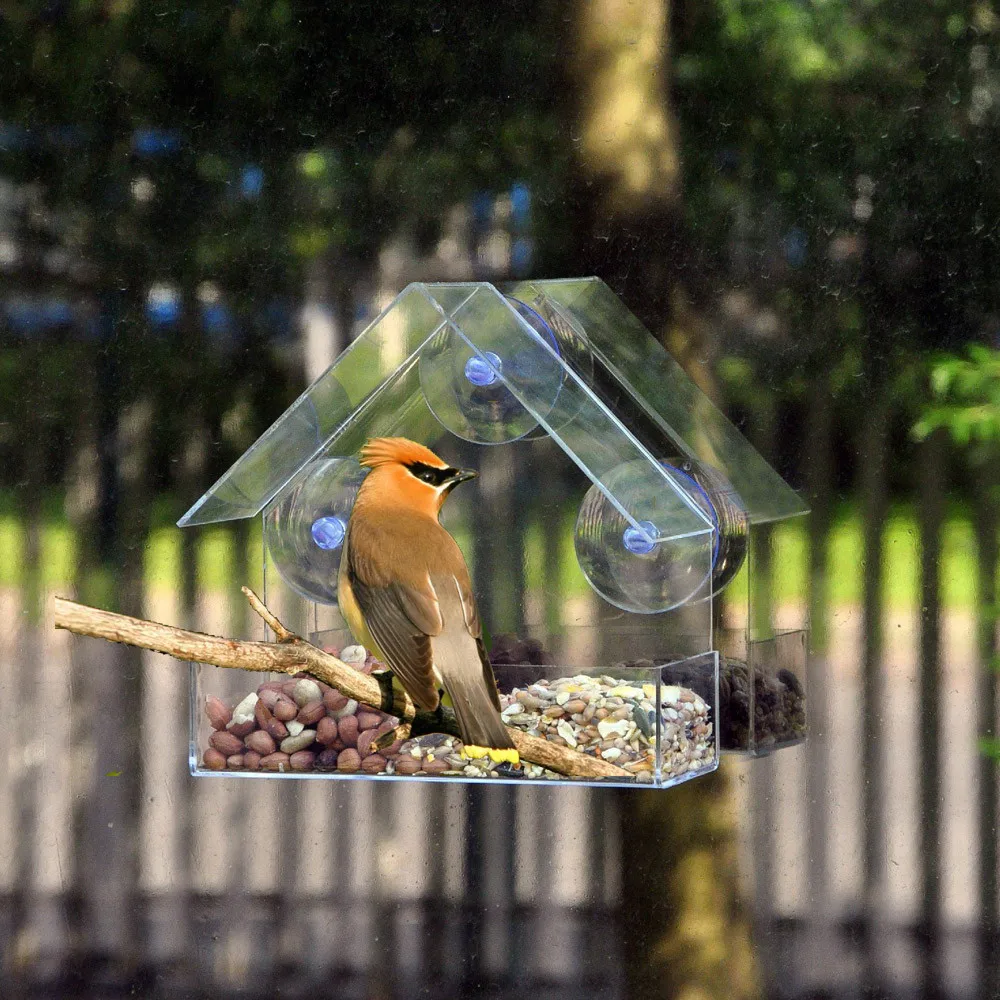 

Clear Glass Window Viewing Bird Feeder Hotel Table Seed Peanut Hanging Suction Alimentador Adsorption House Type Bird Feeder 32