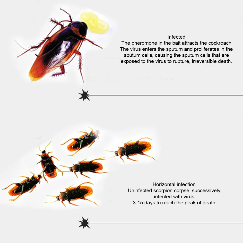 Гелиевая наживка инсектицид домашний отель 10 г твердый таракан Ловушка с