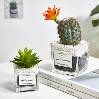 

Home balcony Desk Decoration Accessories Mini cactus meat simulation bonsai garden creative plant ornaments