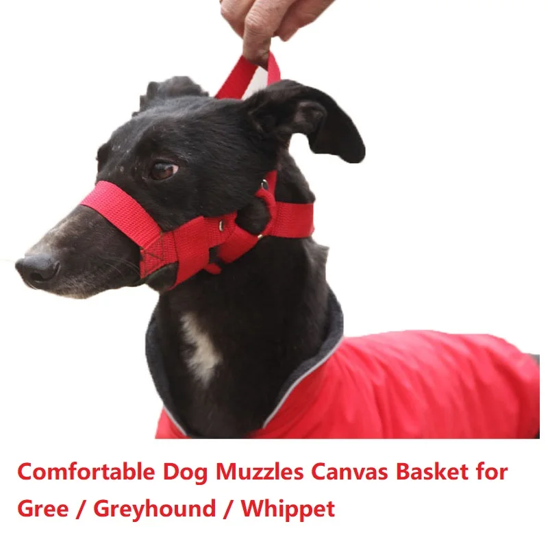 comfortable whippet muzzle