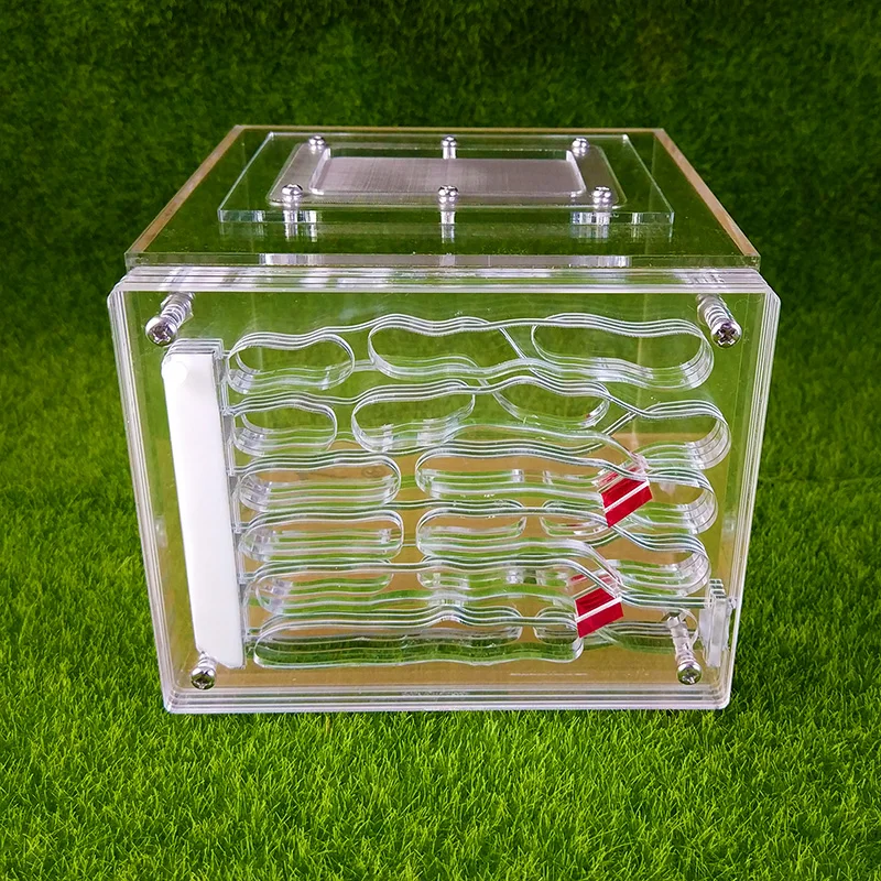 transparent