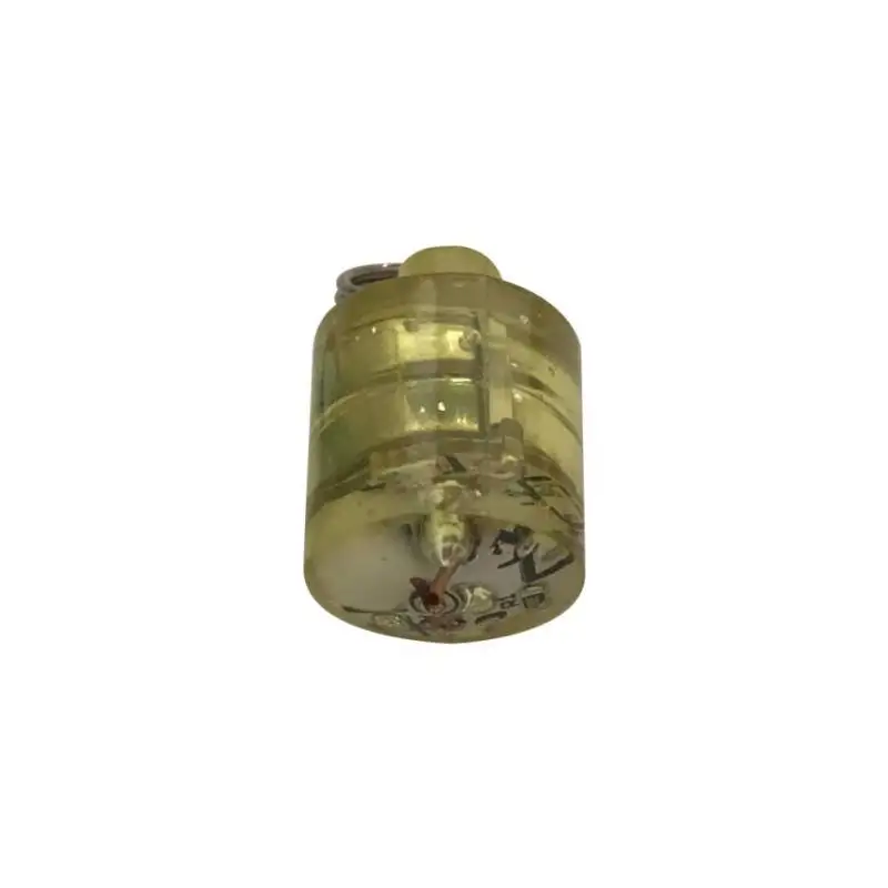 Mini Underwater electronic fishing light Fish Attraction Lamp Lure LED Flashing Fishing Light Squid Bait Lures - Цвет: C