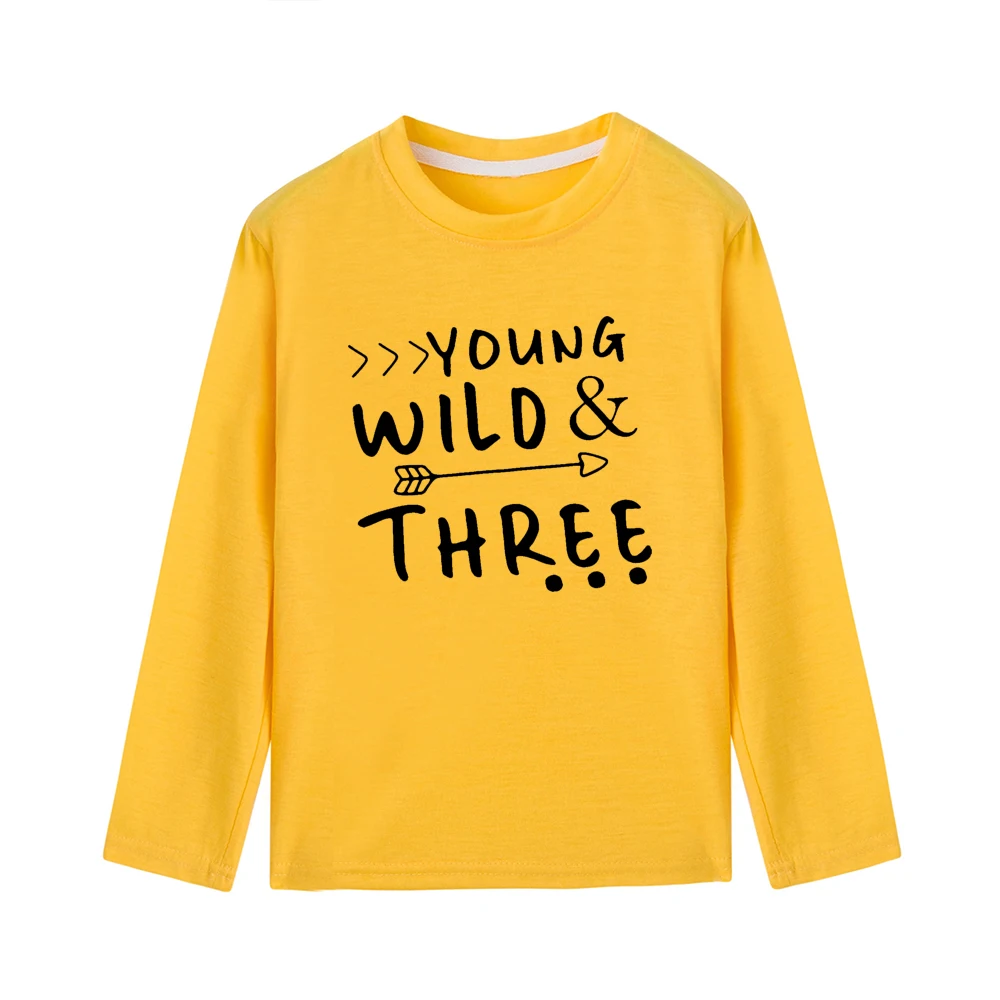 Young Wild/Осенняя футболка с длинными рукавами для мальчиков и девочек крутые Детские футболки с буквенным принтом и круглым вырезом; модные однотонные топы-футболки - Цвет: 43V4-KLTYE-