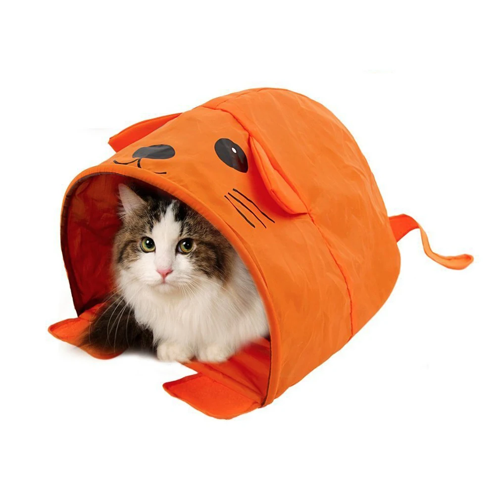 4195257529_1654660581