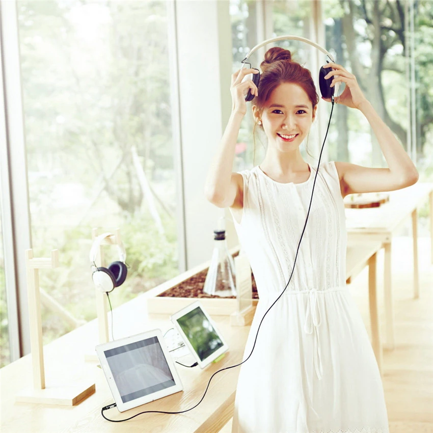 3.5 audio cable (5)
