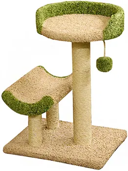

Fluffy kittens Cook Fluffy beige carpet with a green