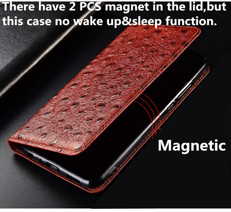 鸵鸟纹款_11_副本