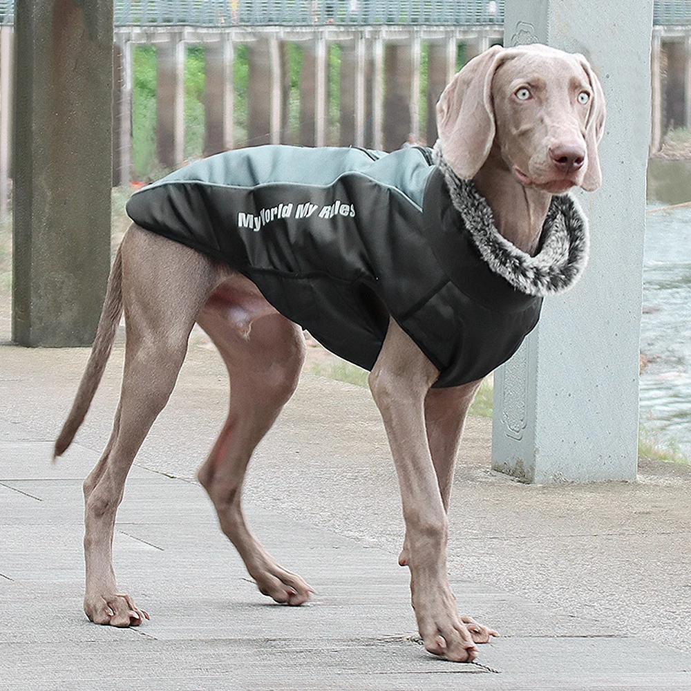 Dog Jacket with Harness | Waterproof Jacket for Large Dog | Big Windproof Coats