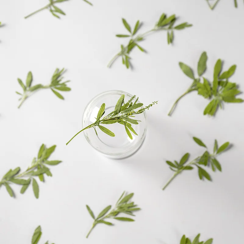 

60pcs Pressed Dried Flower Melilotus officinalis Stem Herbarium Epoxy Resin Jewelry Photo Frame Phone Case Bookmark Making DIY