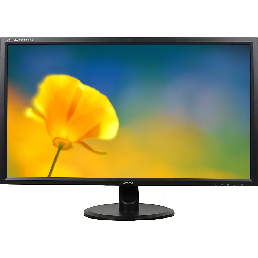 Монитор Iiyama 28" ProLite X2888HS-B2 черный VA LED 5ms 16:9 DVI HDMI DisplayPort M/M Mat 300cd