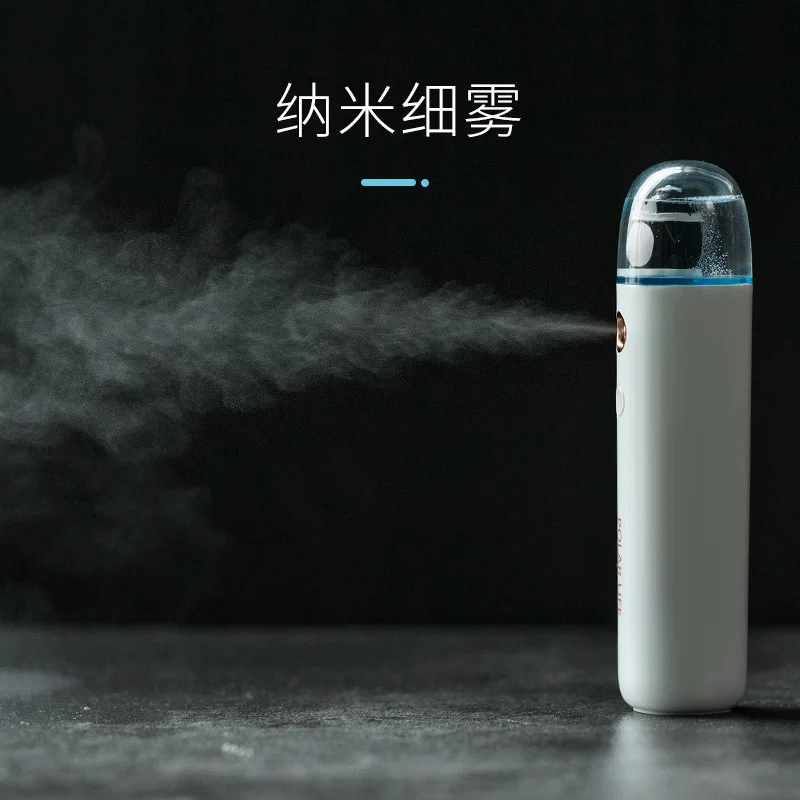 Polar Species Nano Mist Sprayer New Style Portable Hand-Held Humidifier Mini Cute Humidification Spray
