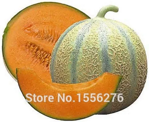 Сочные и сладкие 50+ Heirloom Charentais Cantaloupe P-semillas~ rganic Дыня Фрукты sementes