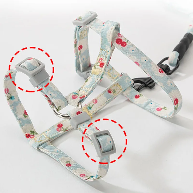 11748685225_859103132