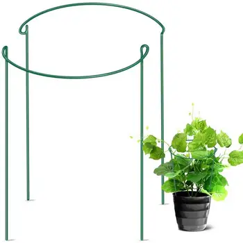 

Half Round Garden Plant Support Ring Hoop Metal Plant Stake for Garden Rattan Clematis Chinese Rose Orchid Planting