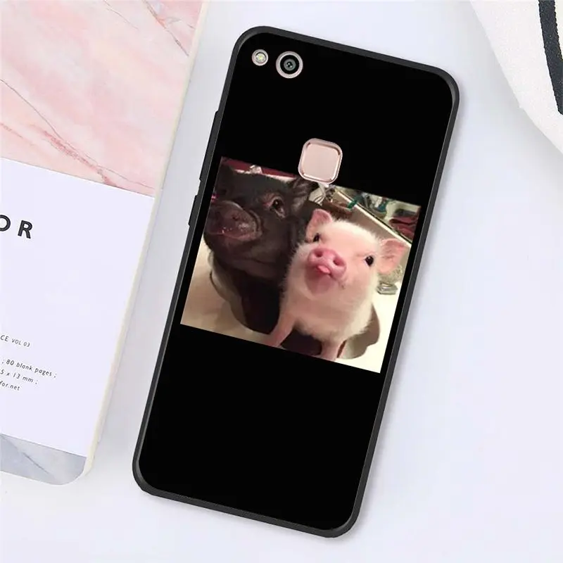 Cute Little Pink Pet Pig