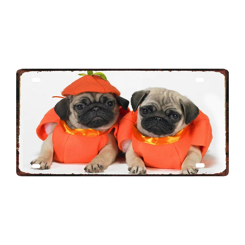 Кошка Собака 30X15 см номерной знак животных металлический знак для Wall Art Pet Shop Ресторан Хоум Винтаж декор 30X15 см DDC-0019A - Цвет: DC-0035