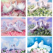 5D DIY Алмазная картина для влюбленных голубь животное вышивка картина стразы украшение дома